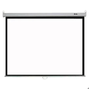 Auto Electric Projector Screen 300x300 cm (118x118 Inches)