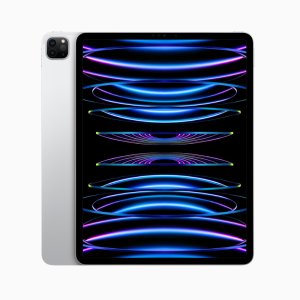 IPAD PRO 11" 4TH GEN 128GB-A2435 (GRAY)