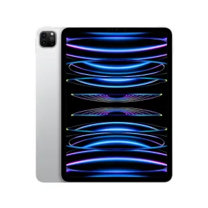 IPAD PRO 11" 4TH GEN 512GB-A2435 (GRAY)