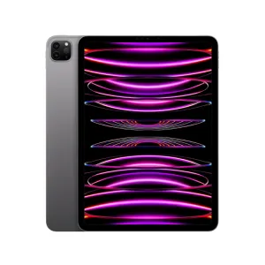 IPAD PRO 11" 4TH GEN 512GB-A2435 (GRAY)