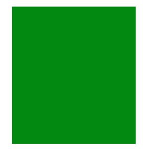 Visico Solid Color Background-Green (3 x 6 m)