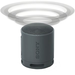 Sony XB100 Portable Bluetooth Speaker - SRS-XB100