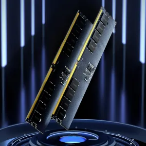Lexar Desktop RAM DDR5 32GB 5600 - LD5U32G56C46ST-BGS