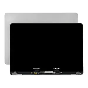 MacBook M1 Pro A2338 Silver Screen