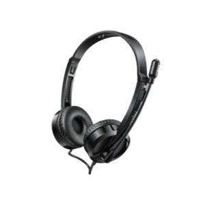 Rapoo Wired Headphone 3.5 MM Jack - H100 