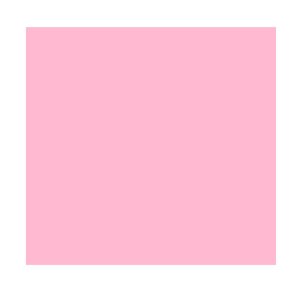 Visico Solid Color Background-Infant Pink (3 x 5 )
